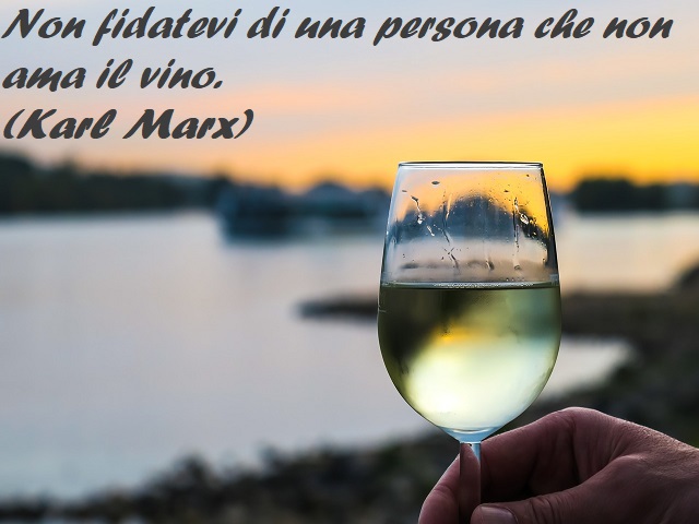 Non fidatevi di una persona che non ama il vino. (Karl Marx)