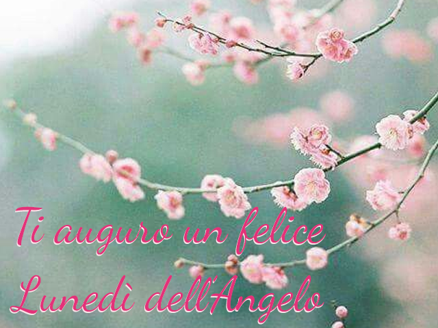 Ti auguro un felice Lunedì dell'Angelo