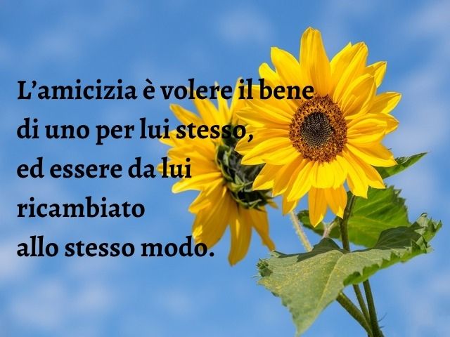 L’amicizia è volere il bene di uno per lui stesso, ed essere da lui ricambiato allo stesso modo.
