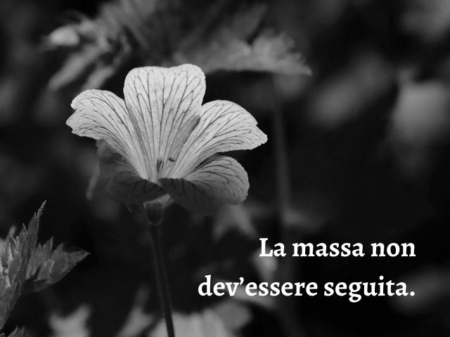 La massa non dev’essere seguita.