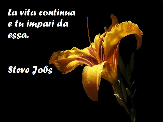 La vita continua e tu impari da essa. (Steve Jobs)