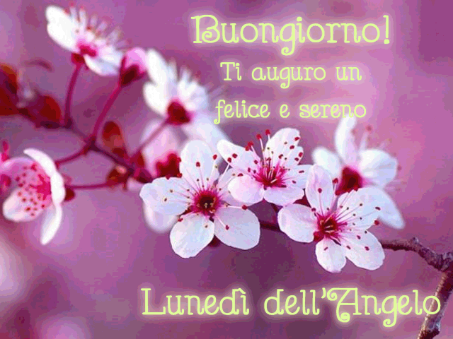 Buongiorno! Ti auguro un felice e sereno Lunedì del'Angelo.