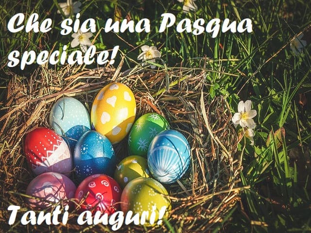 Che sia una Pasqua speciale! Tanti auguri!