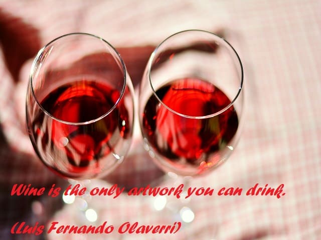 Wine is the only artwork you can drink. (Il vino è l’unica opera d’arte che puoi bere). (Luis Fernando Olaverri)