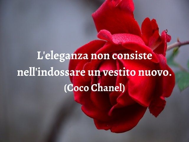 L'eleganza non consiste nell'indossare un vestito nuovo.(Coco Chanel)