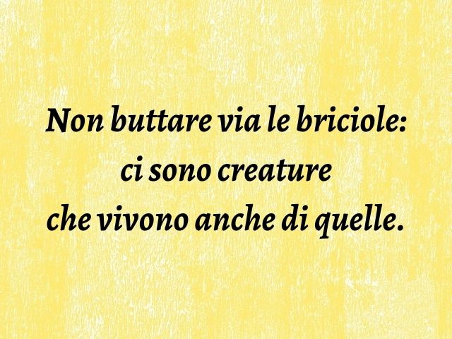 Non buttare via le briciole: ci sono creature che vivono anche di quelle.