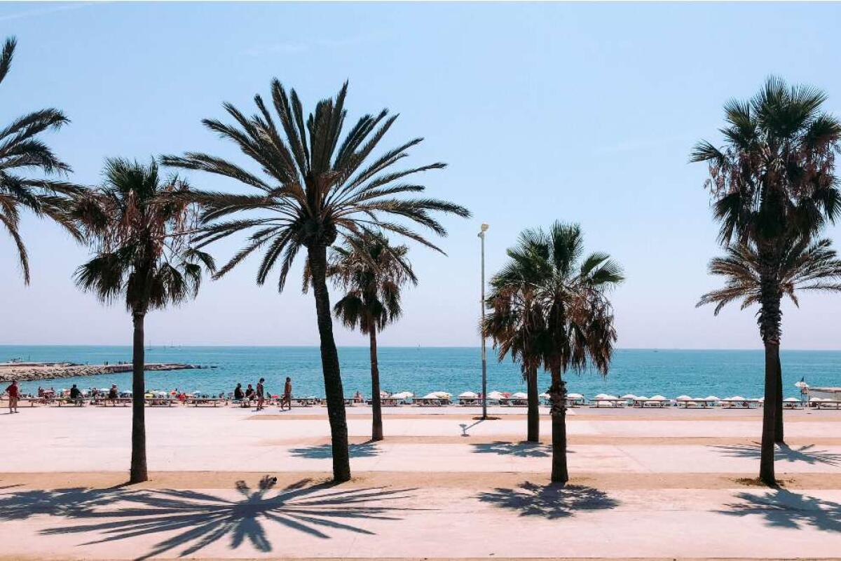Barceloneta e Port Vell, il porto vecchio: la città tra tradizione e divertimento - 