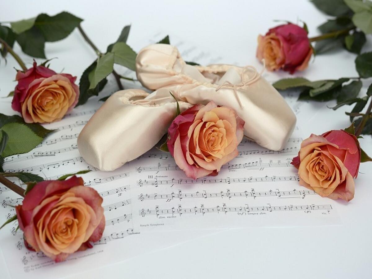 Frasi e immagini sulla danza: 244 aforismi, citazioni e pensieri bellissimi sul ballo - 