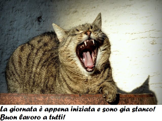 La giornata è appena iniziata e sono già stanco! Buon lavoro a tutti!