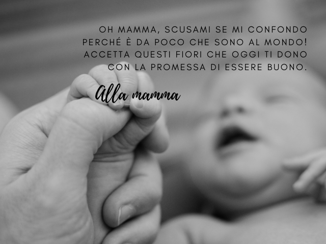 Oh mamma, scusami se mi confondo perché è da poco che sono al mondo! Accetta questi fiori che oggi ti dono con la promessa di essere buono. Alla mamma