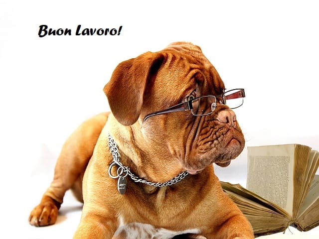 Buon Lavoro!