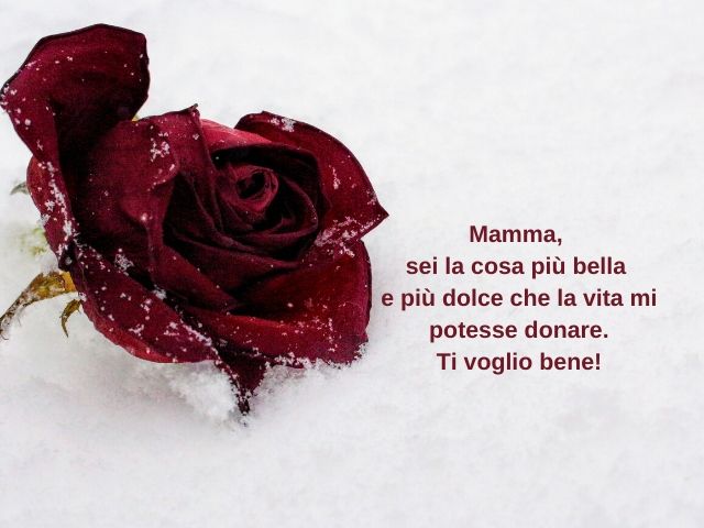 Mamma, sei la cosa più bella e più dolce che la vita mi potesse donare. Ti voglio bene!