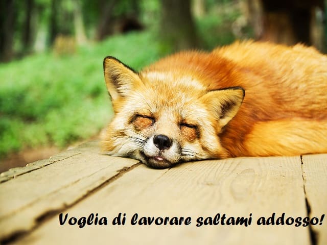 Voglia di lavorare saltami addosso!