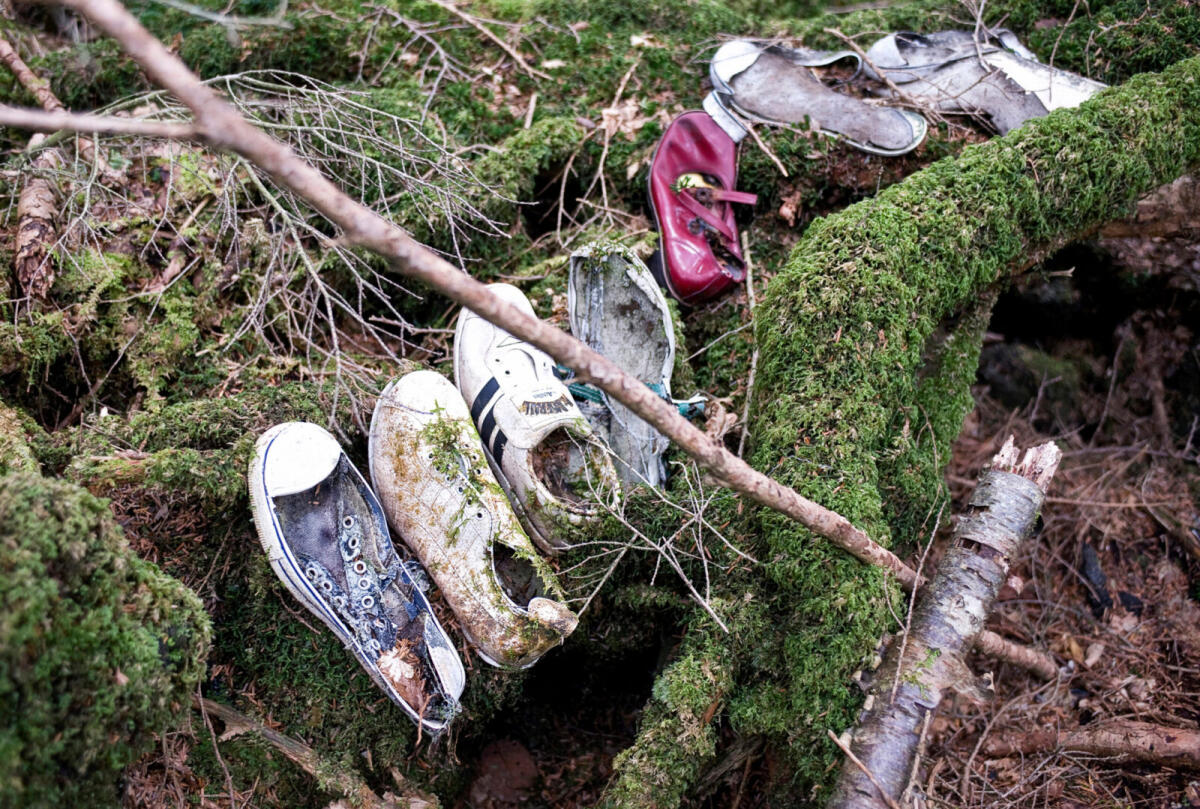 La foresta dei suicidi del Giappone, ai piedi del Monte Fuji - Credits: The Japan Times