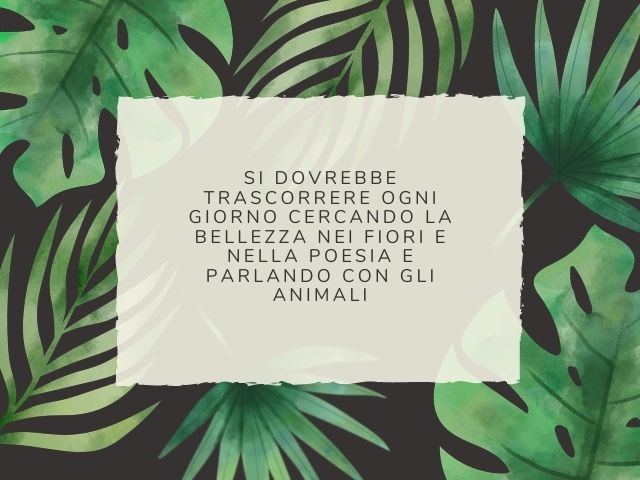 Si dovrebbe trascorrere ogni giorno cercando la bellezza nei fiori e nella poesia e parlando con gli animali.