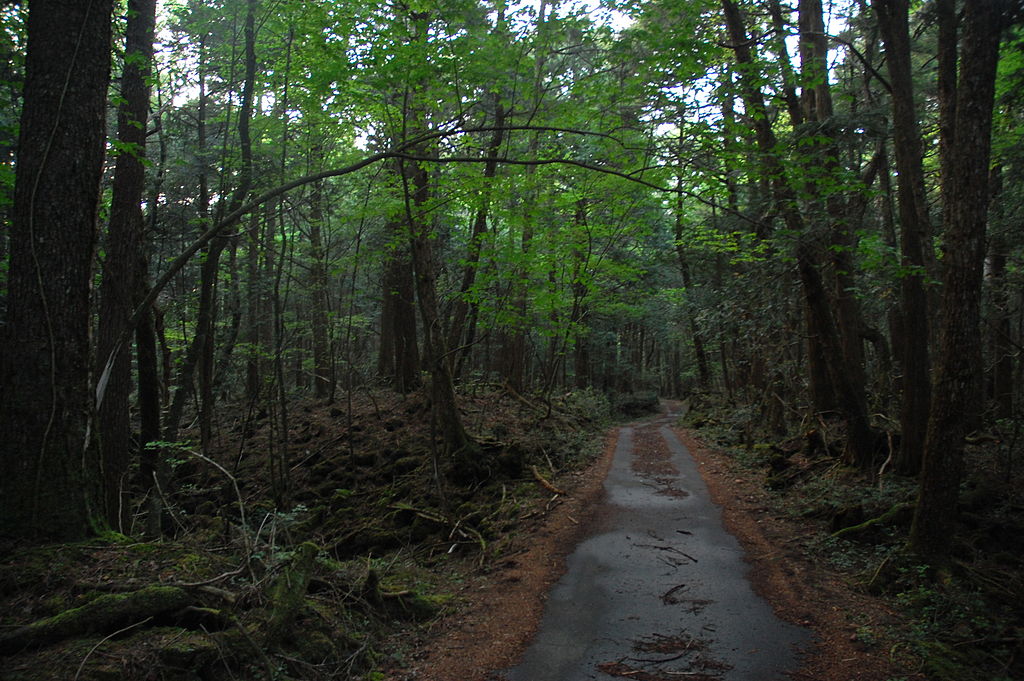 Credits: Simon Desmarais via Flickr
