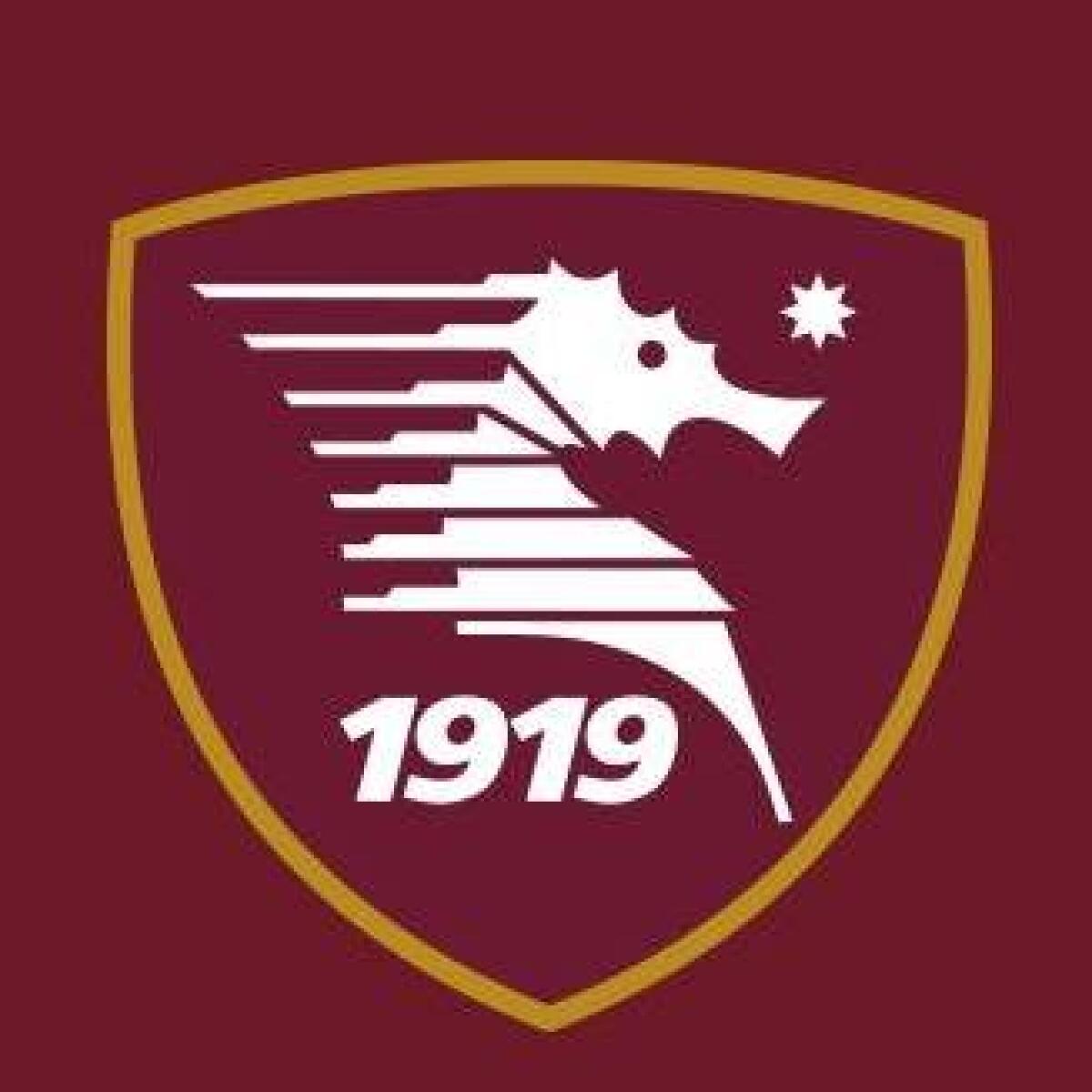 Gravina: "Entro sei mesi la Salernitana dovrà cambiare proprietà" - Immagine in evidenza: stemma Salernitana - crediti: pagina ufficiale Facebook U.S. Salernitana 1919