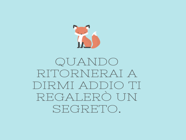 Quando ritornerai a dirmi addio ti regalerò un segreto.(Il Piccolo Principe)