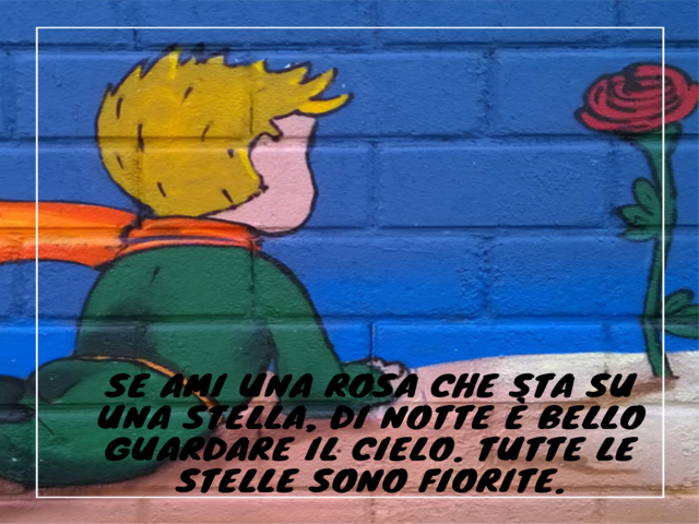 Se ami una rosa che sta su una stella, di notte è bello guardare il cielo. Tutte le stelle sono fiorite.(Il Piccolo Principe)