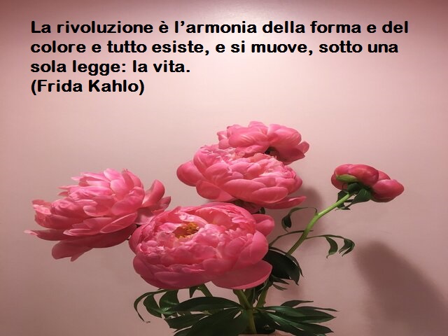 La rivoluzione è l’armonia della forma e del colore e tutto esiste, e si muove, sotto una sola legge: la vita. (Frida Kahlo)
