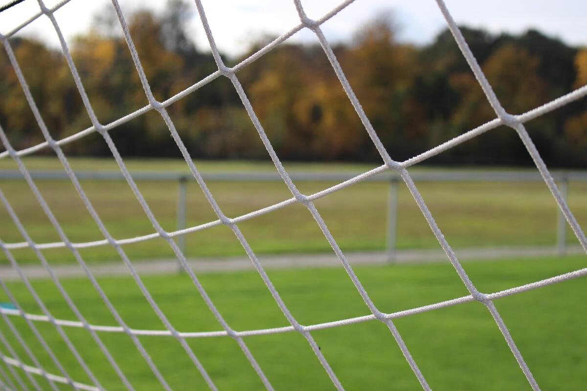 Serie A, i risultati dei match di oggi - Immagine in evidenza: foto di Blueeyes da Pixabay