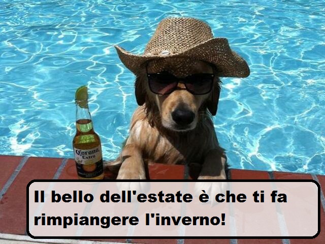 Il bello dell'estate è che ti fa rimpiangere l'inverno!