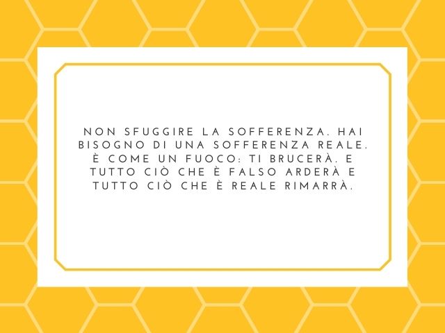 Non sfuggire la sofferenza. Hai bisogno di una sofferenza reale. È come un fuoco: ti brucerà. E tutto ciò che è falso arderà e tutto ciò che è reale rimarrà.