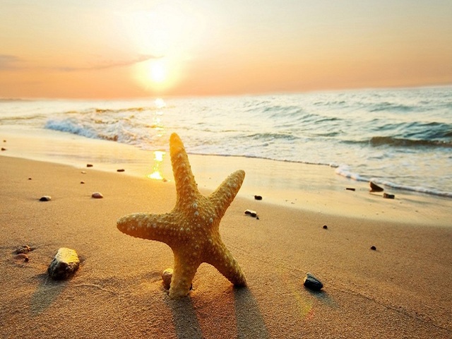 aforismi sul caldo