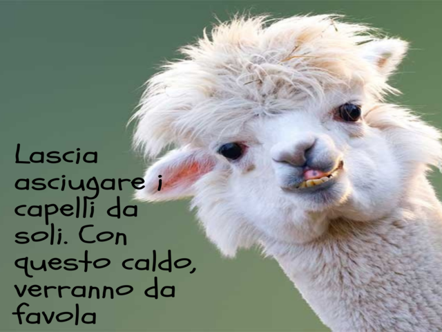 Lascia asciugare i capelli da soli. Con questo caldo, verranno da favola!