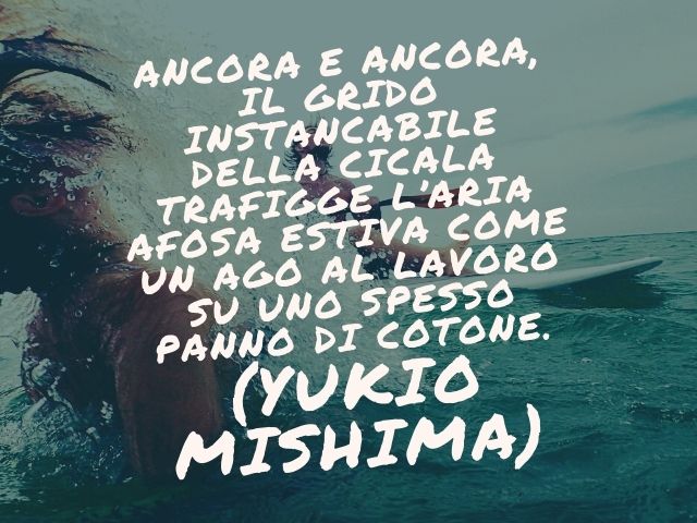 Ancora e ancora, il grido instancabile della cicala trafigge l’aria afosa estiva come un ago al lavoro su uno spesso panno di cotone.(Yukio Mishima)