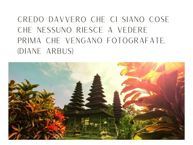 Credo davvero che ci siano cose che nessuno riesce a vedere prima che vengano fotografate.(Diane Arbus)