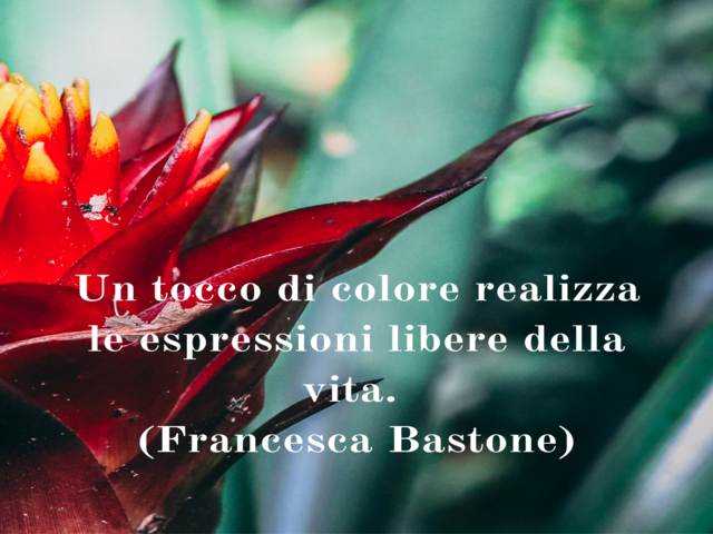 Un tocco di colore realizza le espressioni libere della vita.(Francesca Bastone)