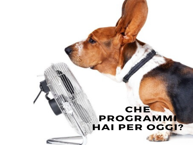 Che programmi hai per oggi?