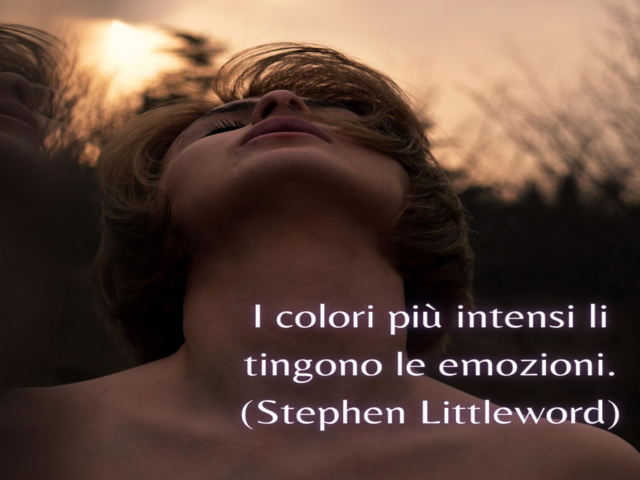 I colori più intensi li tingono le emozioni.(Stephen Littleword)