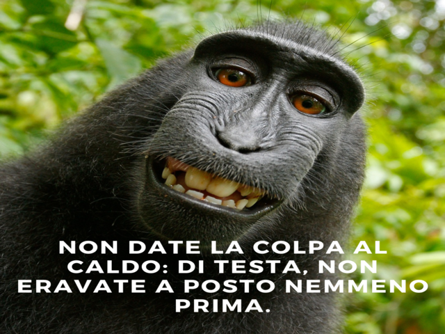Non date la colpa al caldo: di testa, non eravate a posto nemmeno prima.