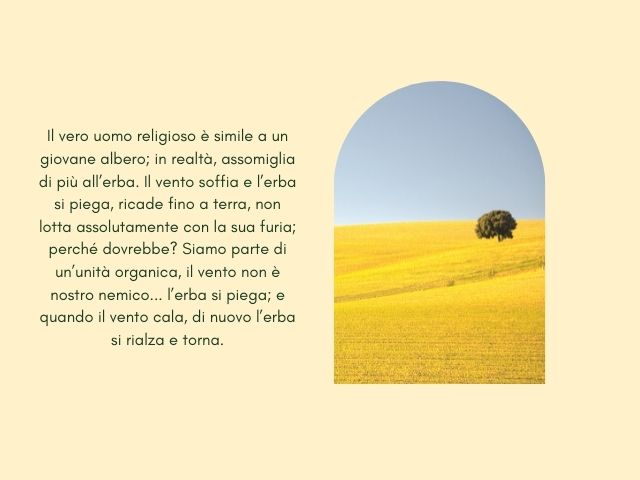 Il vero uomo religioso è simile a un giovane albero; in realtà, assomiglia di più all’erba. Il vento soffia e l’erba si piega, ricade fino a terra, non lotta assolutamente con la sua furia; perché dovrebbe? Siamo parte di un’unità organica, il vento non è