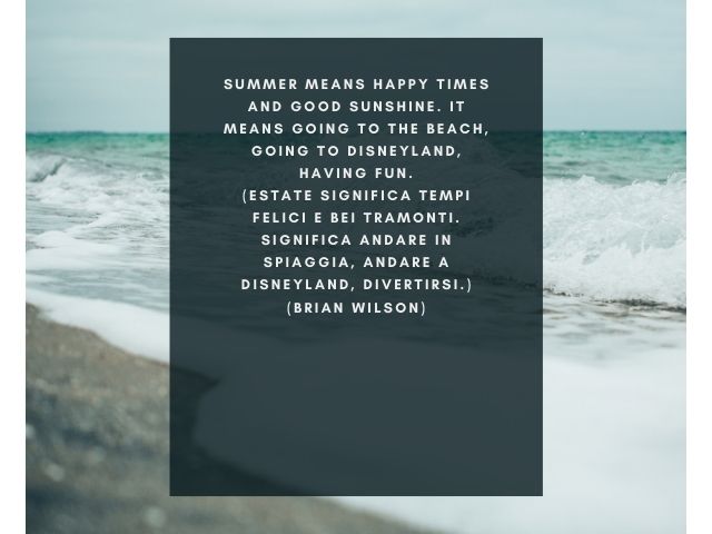 Summer means happy times and good sunshine. It means going to the beach, going to Disneyland, having fun.(Estate significa tempi felici e bei tramonti. Significa andare in spiaggia, andare a Disneyland, divertirsi.)(Brian Wilson)