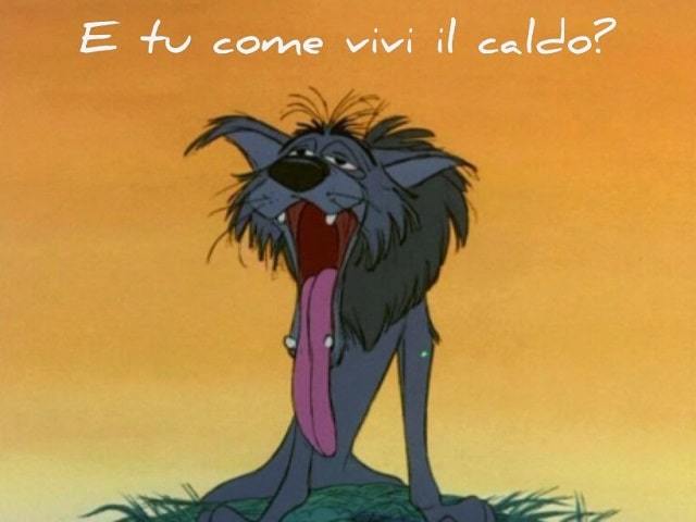 E tu come vivi il caldo?