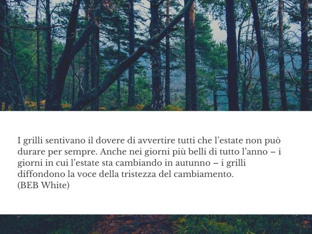 I grilli sentivano il dovere di avvertire tutti che l’estate non può durare per sempre. Anche nei giorni più belli di tutto l’anno – i giorni in cui l’estate sta cambiando in autunno – i grilli diffondono la voce della tristezza del cambiamento.(BEB White