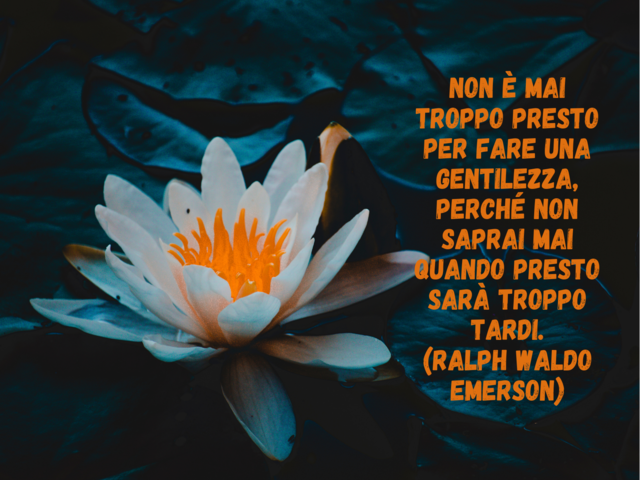 Non è mai troppo presto per fare una gentilezza, perché non saprai mai quando presto sarà troppo tardi.(Ralph Waldo Emerson)