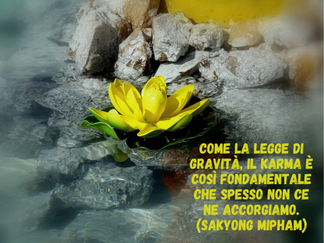 Come la legge di gravità, il karma è così fondamentale che spesso non ce ne accorgiamo.(Sakyong Mipham)