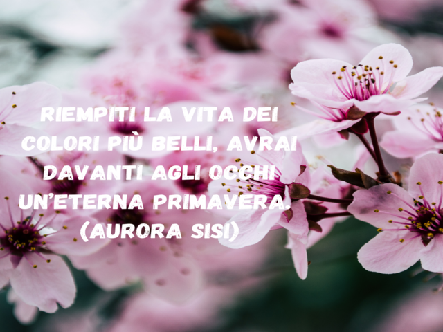 Riempiti la vita dei colori più belli, avrai davanti agli occhi un’eterna primavera.(Aurora Sisi)
