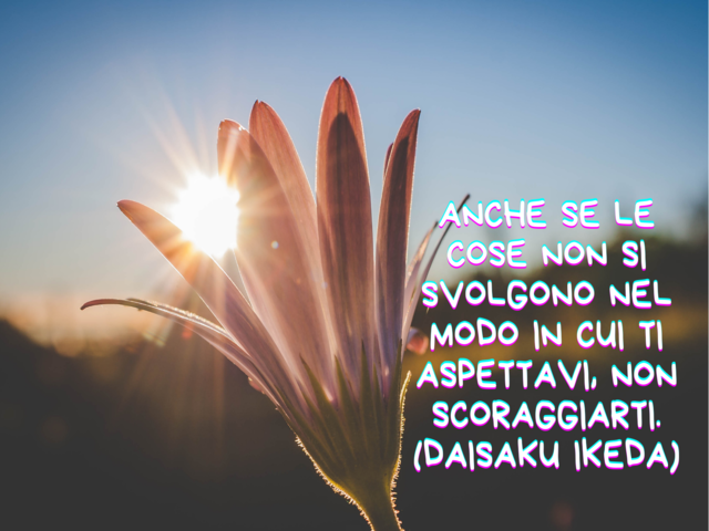 Anche se le cose non si svolgono nel modo in cui ti aspettavi, non scoraggiarti.(Daisaku Ikeda)
