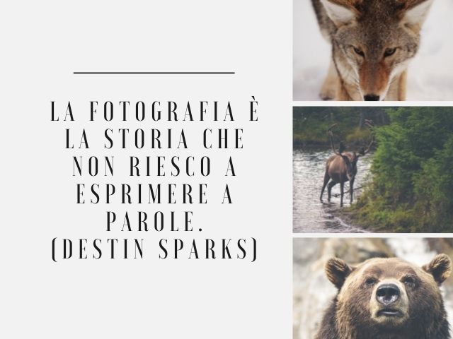 La fotografia è la storia che non riesco a esprimere a parole.(Destin Sparks)