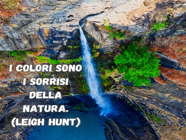 I colori sono i sorrisi della natura.(Leigh Hunt)