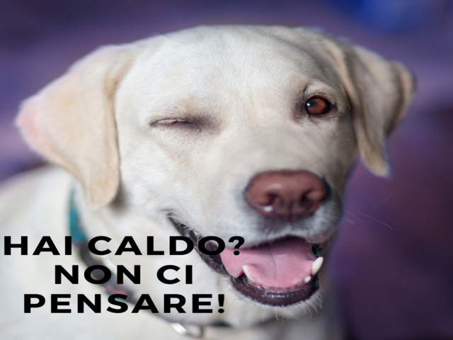 Hai caldo? Non ci pensare!
