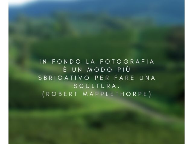In fondo la fotografia è un modo più sbrigativo per fare una scultura.(Robert Mapplethorpe)