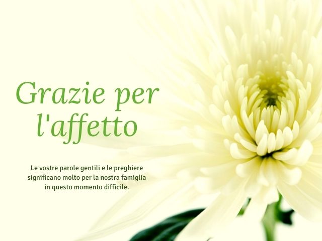 Grazie per l'affetto. Le vostre parole gentili e le preghiere significano molto per la nostra famiglia in questo momento difficile.