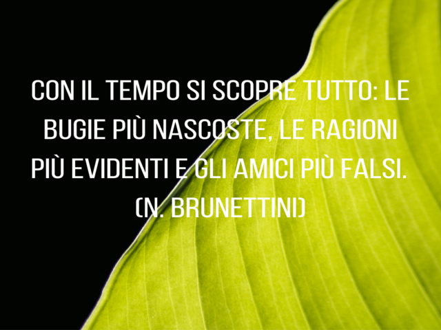 Con il tempo si scopre tutto: le bugie più nascoste, le ragioni più evidenti e gli amici più falsi.(N. Brunettini)