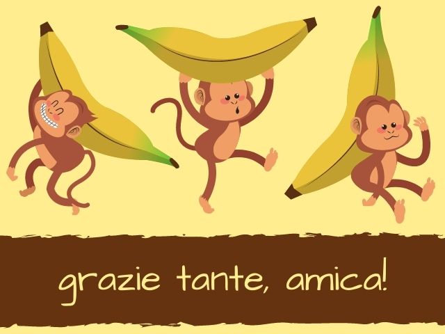 Grazie tante, amica!
